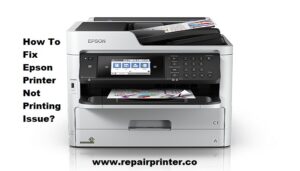 Epson Printer Won’t Print