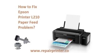 Epson Printer L210 Paper Feed Error
