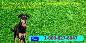 Dog Tracker GPS Update Download Install