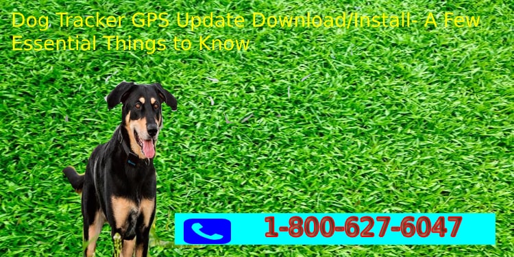 UPDATE Dog GPS Tracker Software